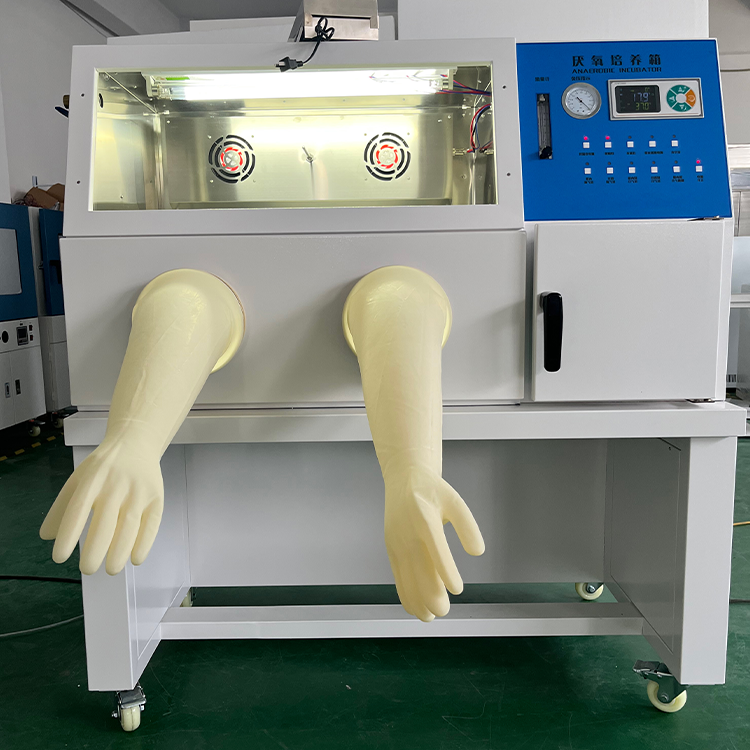 川昱仪器 厌氧培养箱YQX-II厌氧工作站 无氧手套箱