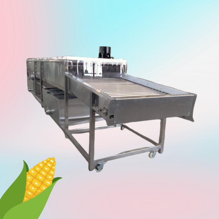 介绍一款糯玉米加工设备 CH-1玉米清洗去须机 创汇机械
