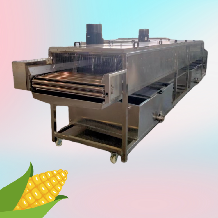 介绍一款糯玉米加工设备 CH-1玉米清洗去须机 创汇机械