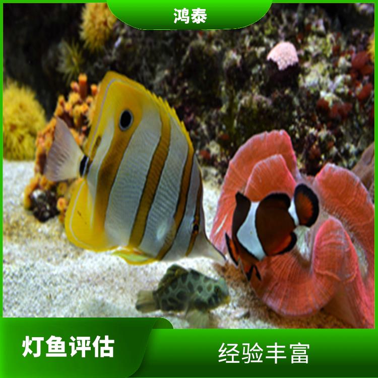 深圳市小丑鱼评估 一对一服务 全程标准化操作