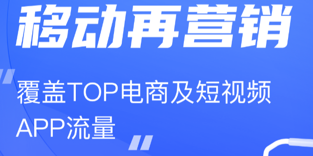 江苏个性化网站搭建产品特征 欢迎来电 福州大愚企业管理供应