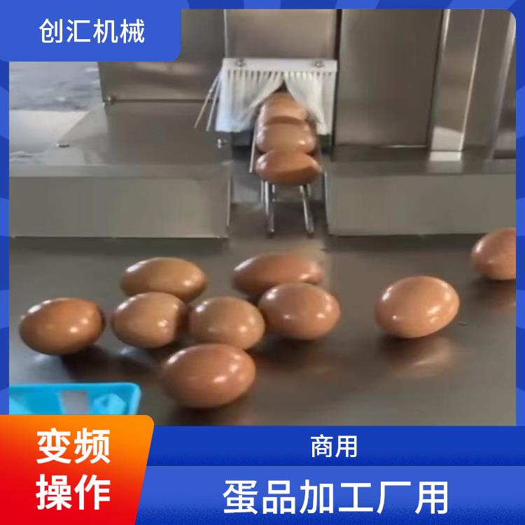 禽蛋清洗机 蛋品加工厂用