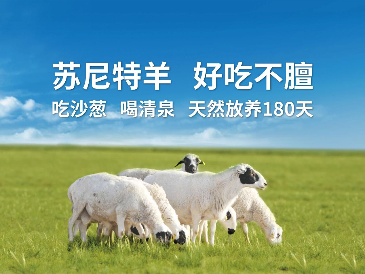 北京苏尼特沙葱羊礼品盒销售