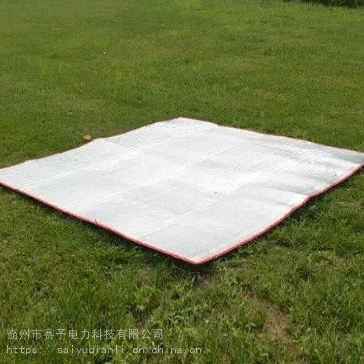民政救灾户外便携式防潮垫可移动可折叠防潮地垫户外露营野餐垫