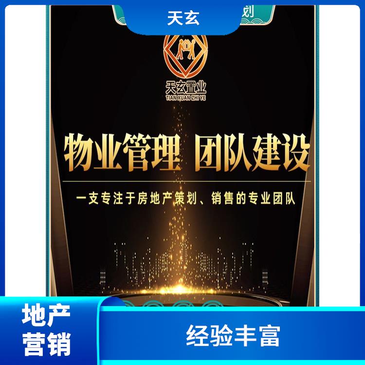 莎车县房地产营销策划公司 有丰富的操盘经验 天玄