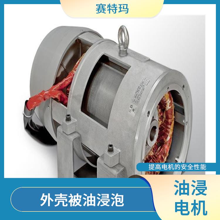 上海油浸电机厂家 散热性能好 减少了电机的热损耗