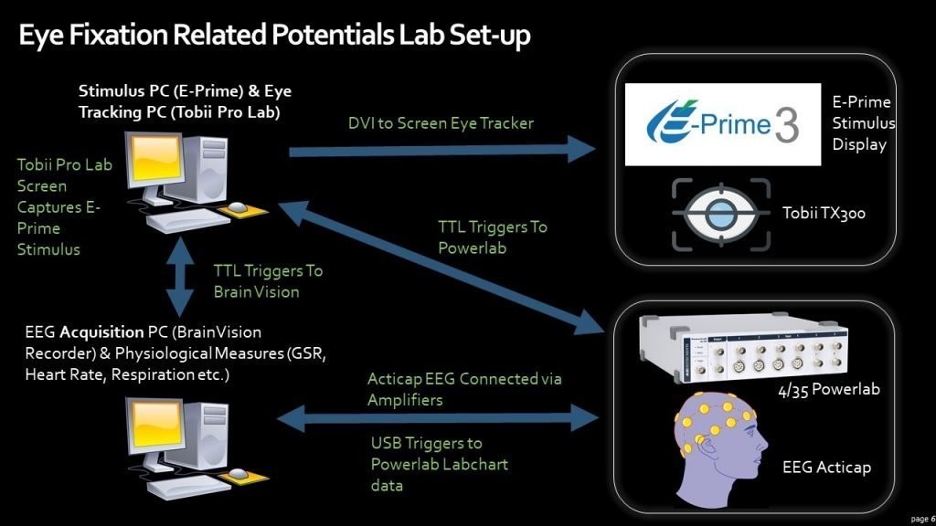 E-Prime案例：使用E-Prime、Tobii Pro和Brain产品并分析其对驾驶经验的作用