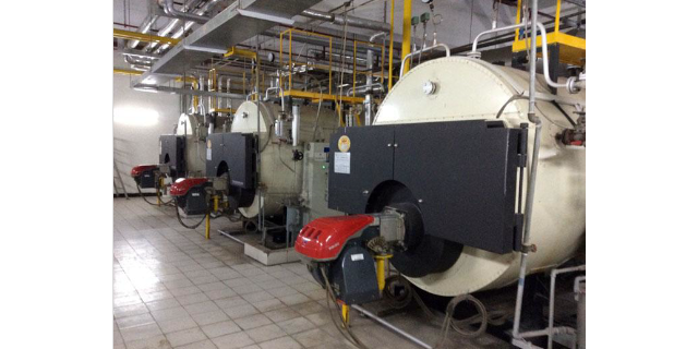 耐腐蚀蒸汽锅炉特点 欢迎来电 苏州市一条龙锅炉服务供应
