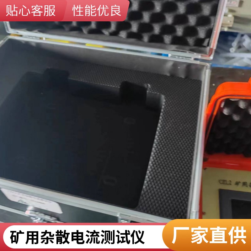 CZL1杂散电流测试仪