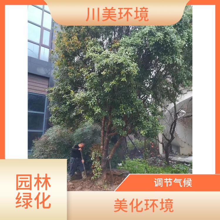 武汉园林绿化工 调节气候 促进生态平衡