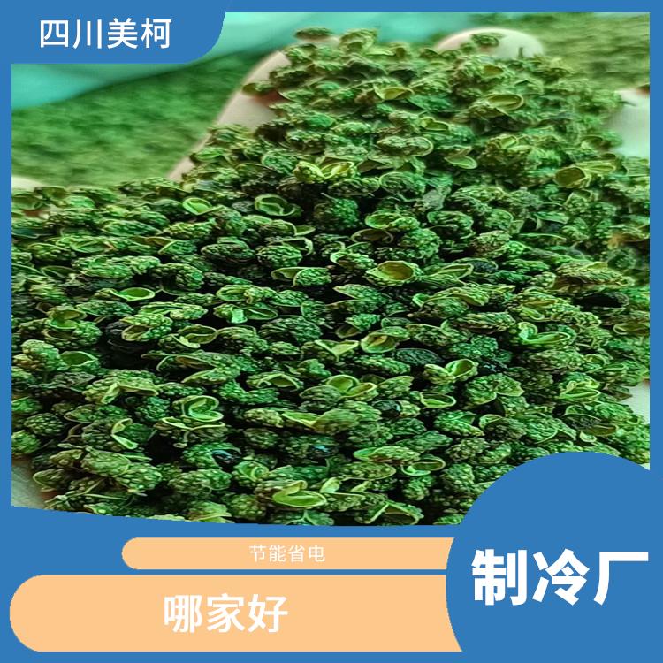 綿竹雙溫庫(kù)安裝 羅江小型凍庫(kù)安裝 蔬菜