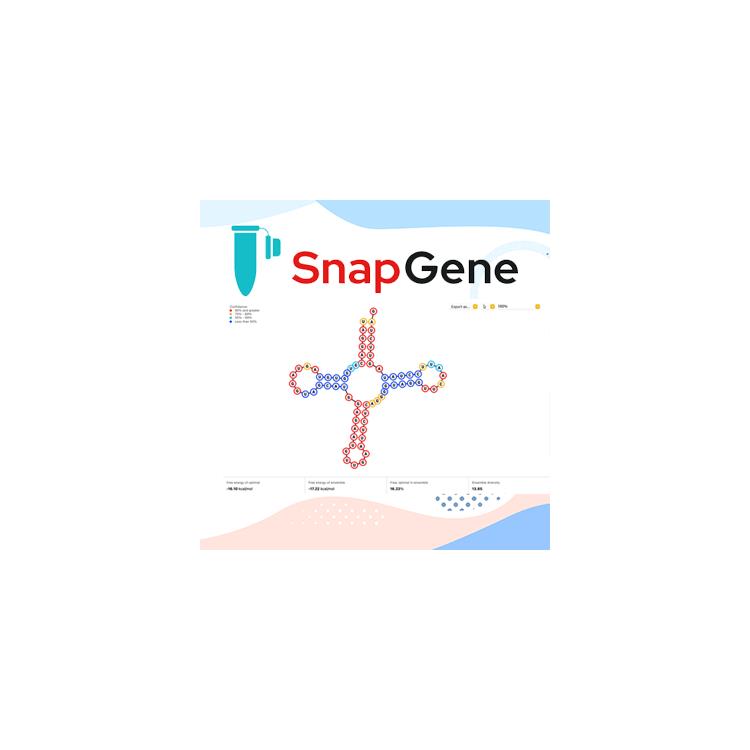 snapgene软件教程及免费版下载_授权经销商