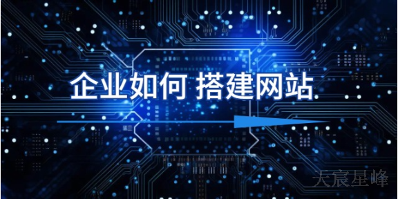国内一站式网站建设流程 值得信赖 陕西天宸星峰信息科技供应