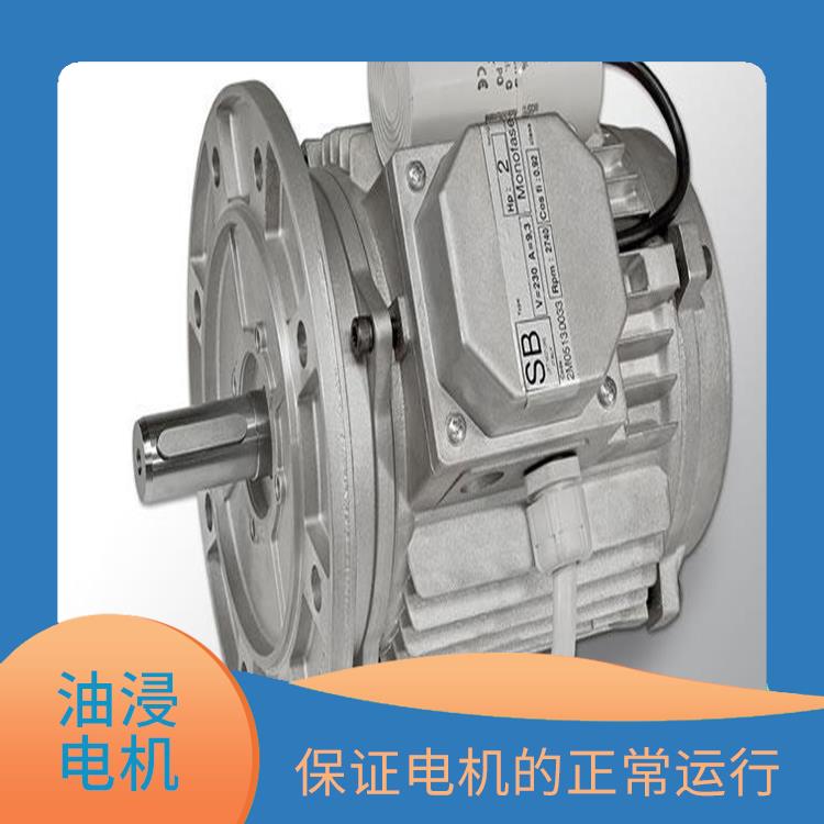 北京油浸电机厂家 负载能力强 减少电机的振动和噪声