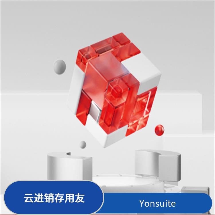 云进销存用友 Yonsuite云财务 丽水用友Yonsuite