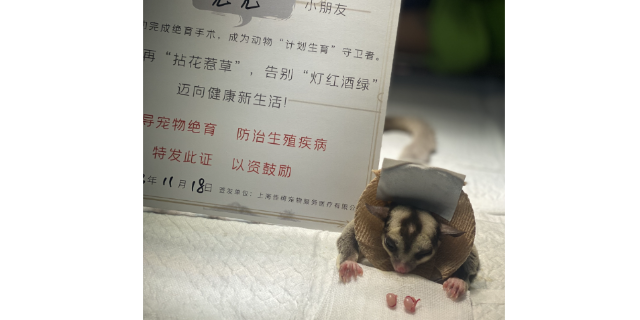 鸟类厌食症 上海佳绮宠物服务医疗供应