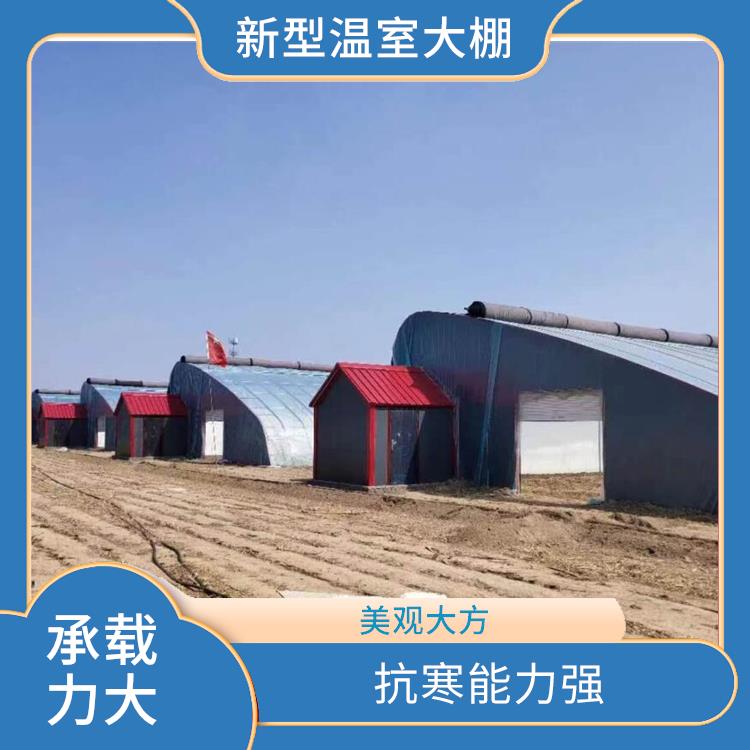 北京新型农业温室大棚设计 更换大棚棉被