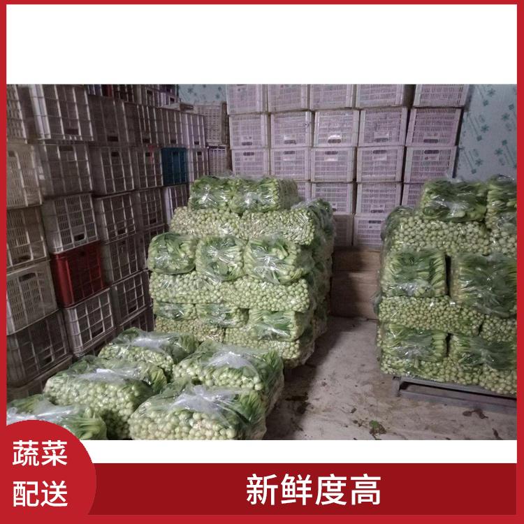 深圳盐田蔬菜配送平台电话 新鲜度高 能满足不同菜品的需求