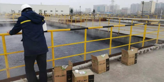 上海污水处理总氮去除菌哪里有卖的 上海利蒙生态环境科技供应