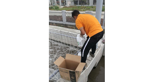 上海工业废水总氮去除菌现货 上海利蒙生态环境科技供应