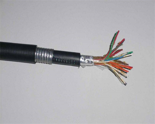 耐热计算机电缆DJFP2FP2 导体