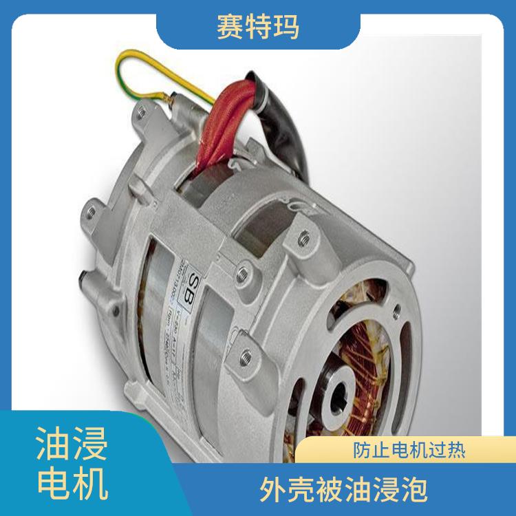 上海油浸电机价格 维护成本较低 减少电机的振动和噪声