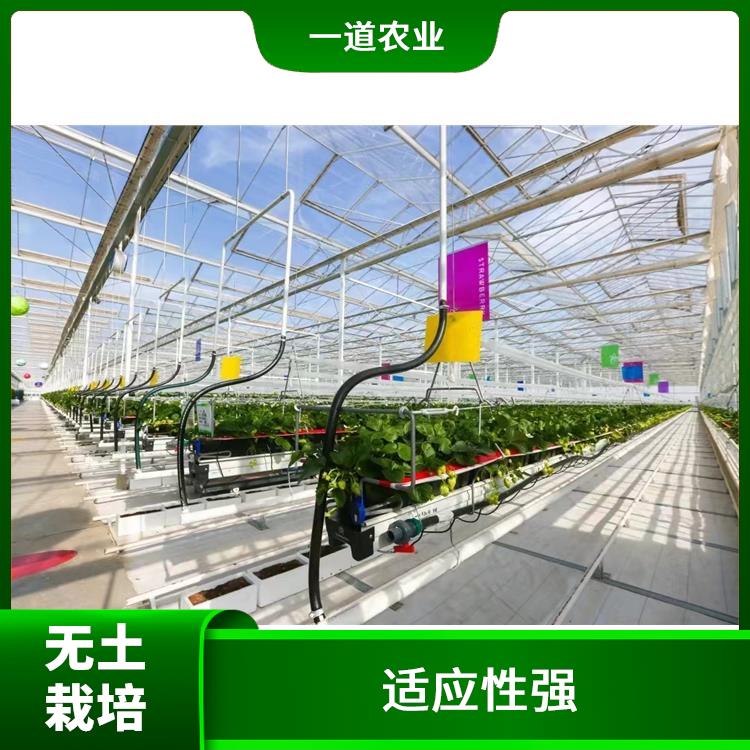 现代化无土栽培 福州无土栽培种植大棚