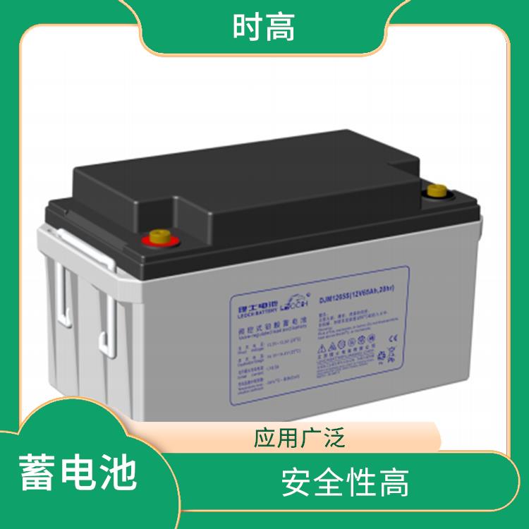 理士铅酸蓄电池 应用广泛 电压输出稳定