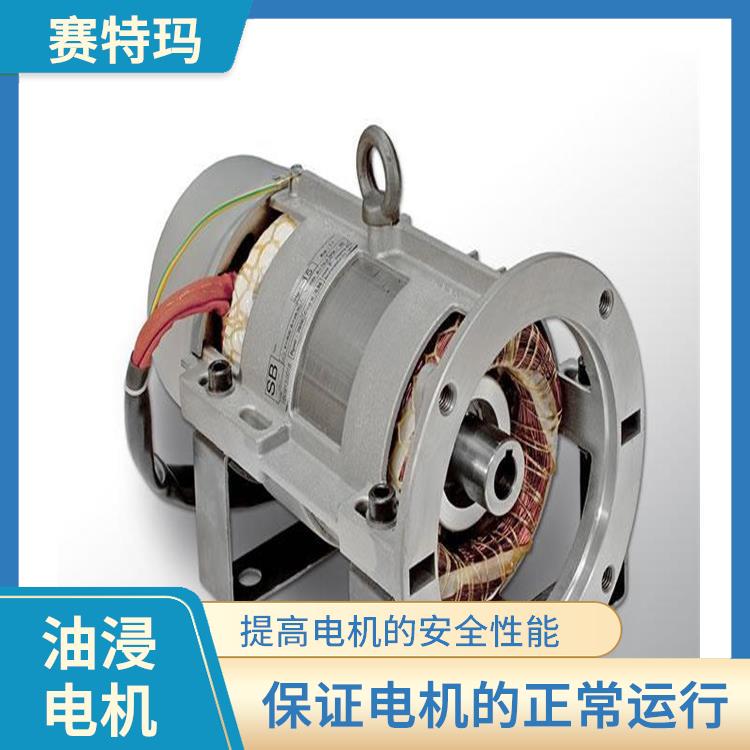 上海油浸电机厂家 维护成本较低 保证电机的正常运行
