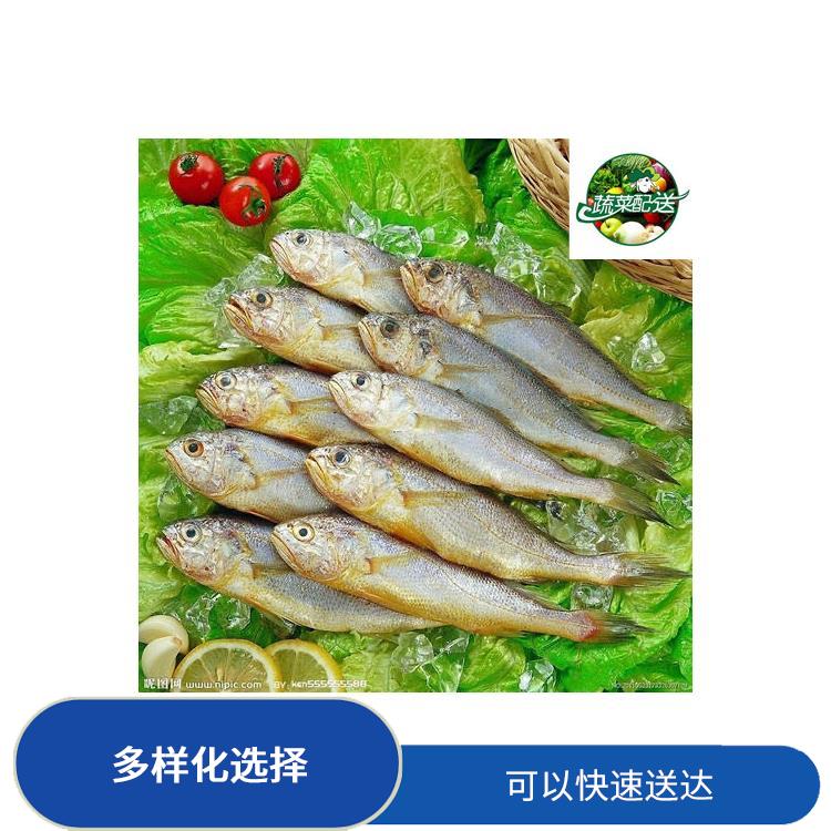 东莞南城街道食材配送服务站 无需亲自管理 可以快速送达