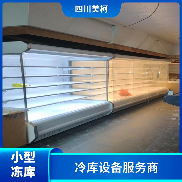 隆昌冷冻库 大英冻库冷风机安装