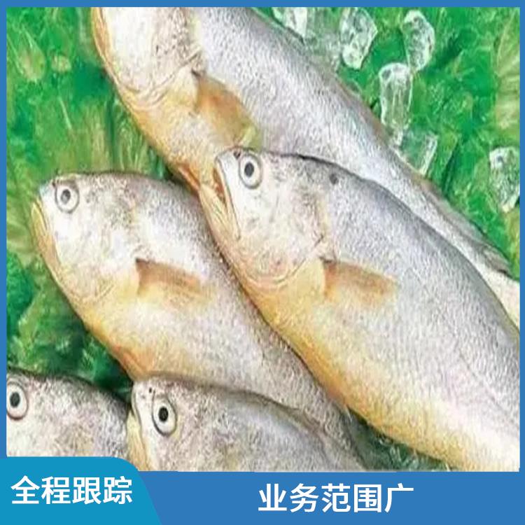 广州绿美叶藻 进口清关咨询 通关效率高 无隐形消费