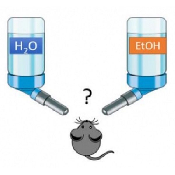 小鼠糖水偏好实验系统 大鼠糖水偏好实验系统--BHW科技