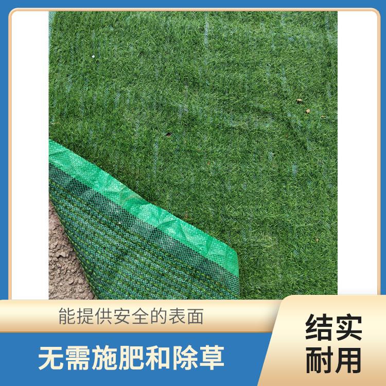 潮州假草坪型号 不需要频繁修剪和修整 针均匀轻便