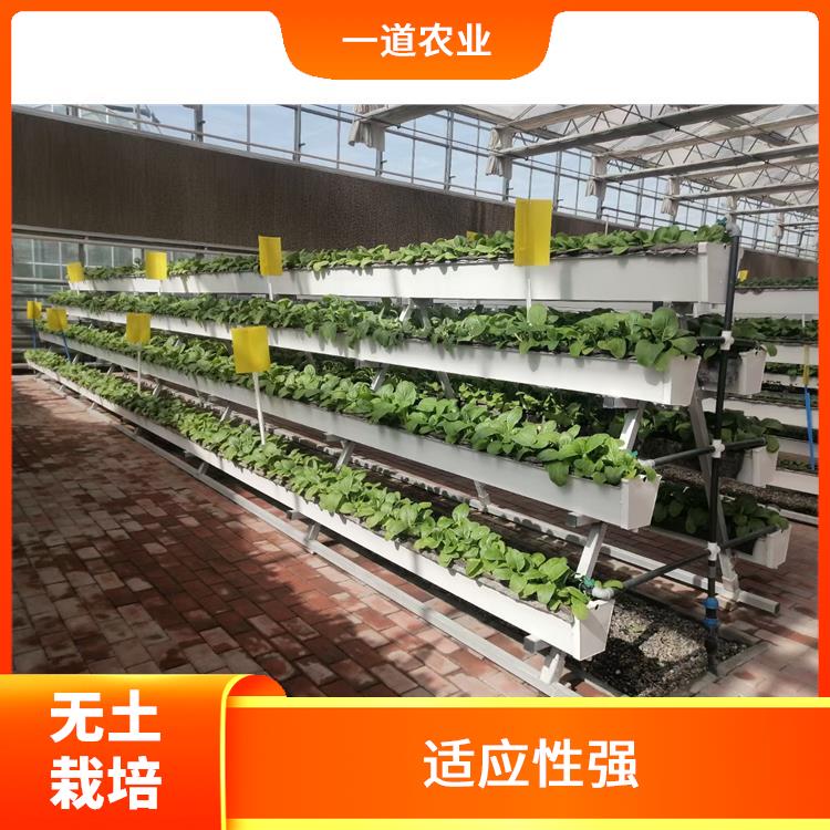 无土栽培施工 南京现代化无土栽培 应用广泛