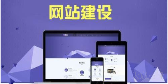 咸阳网站建设设计 服务至上 陕西天宸星峰信息科技供应