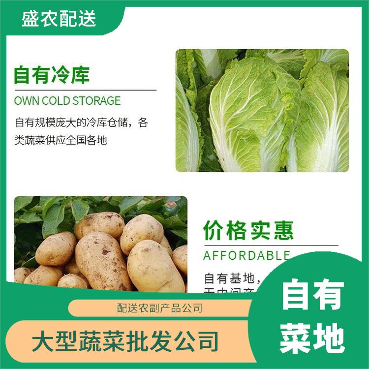 石排饭堂食材配送服务公司 配送蔬菜服务公司 提供一站式平价蔬菜配送服务