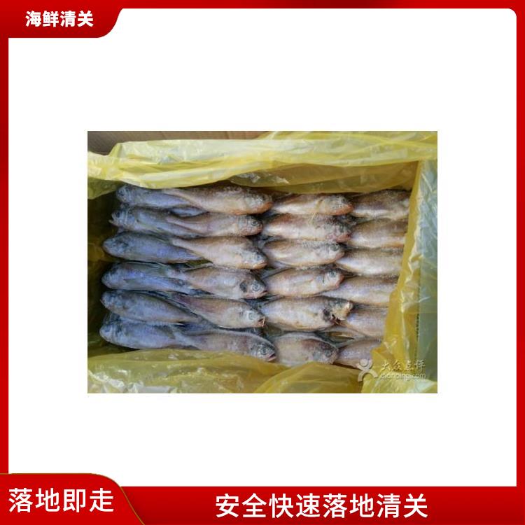 活海鲜进口审批手续 一般贸易进口清关 泰国龙虾进口代理