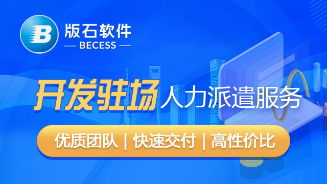 西藏开发驻场供应商 江苏版石软件股份供应