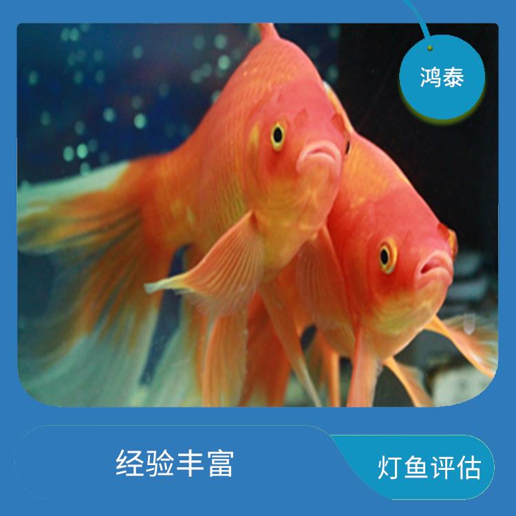 深圳市小丑鱼评估 一对一服务 评估业务范围广