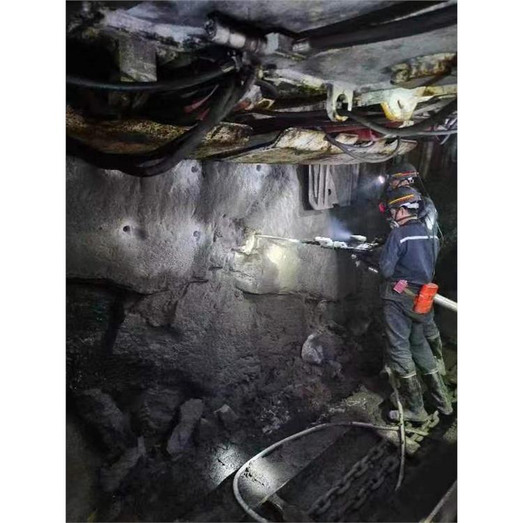 四川平巷掘进开采施工团队 煤矿深孔爆破厂家 一次性爆破管