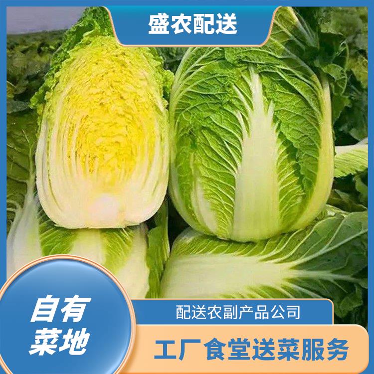 新会区饭堂食材配送服务公司 工厂食堂送菜服务 提供一站式平价蔬菜配送服务