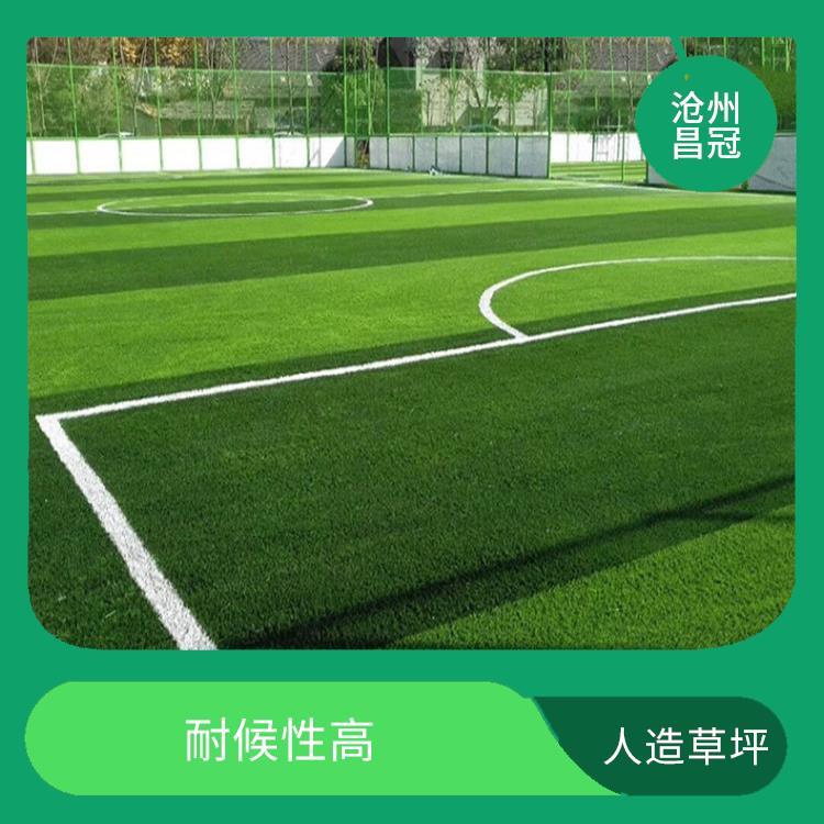 重庆彩虹人造草坪供应 日常维护简单 绒密度高