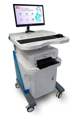 BR-MP妊高征监测系统