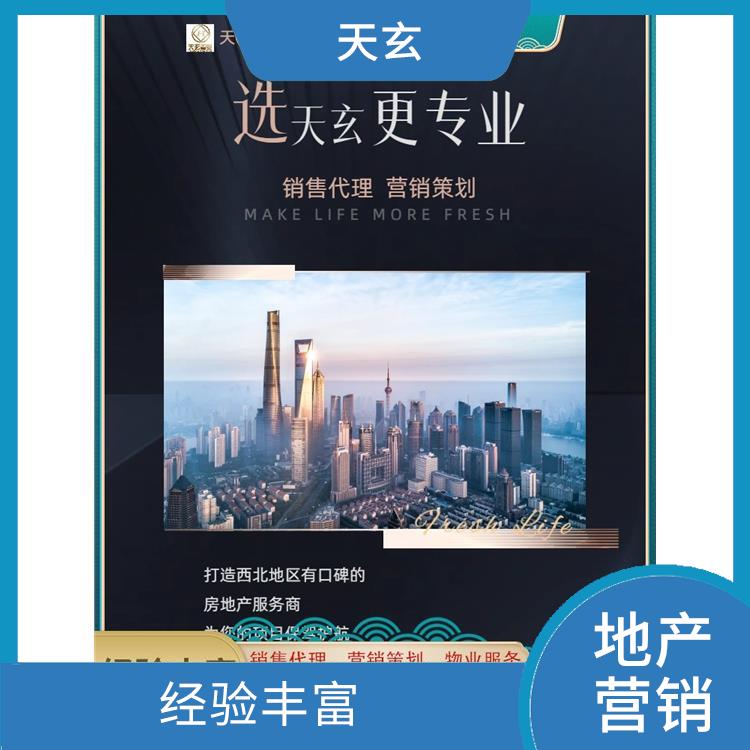 秦都区房地产营销策划公司 服务有始有终 陕西天玄