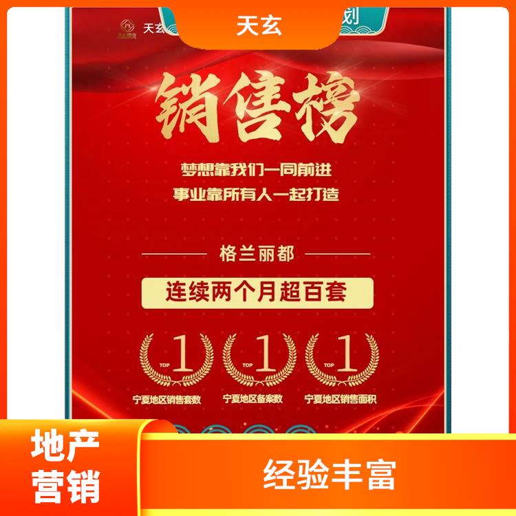 静乐县房地产营销策划公司 经验丰富 天玄置业