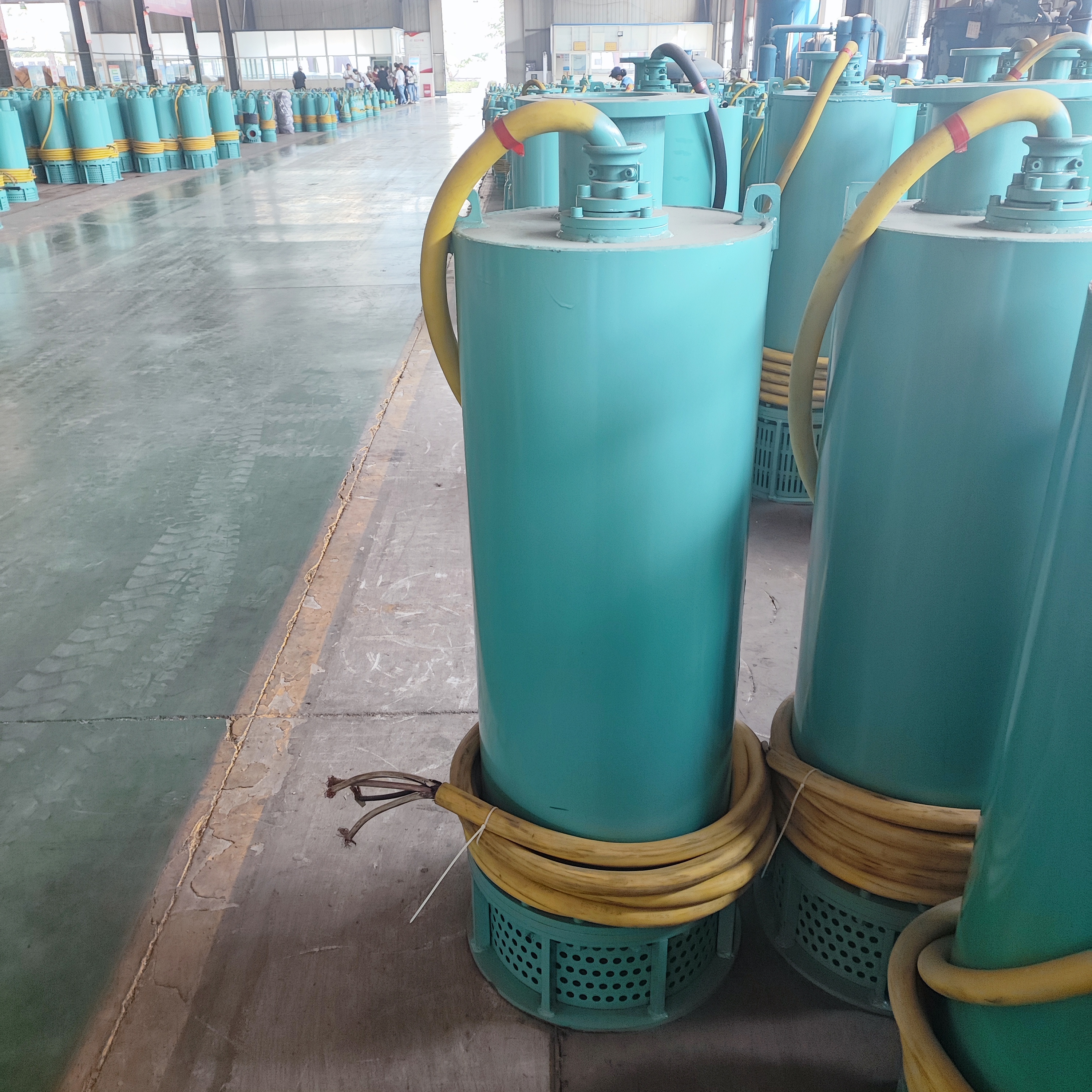BQS20-50-7.5/N 防爆排沙排污 能力强 防缠绕 隔爆型潜水电泵 发货快