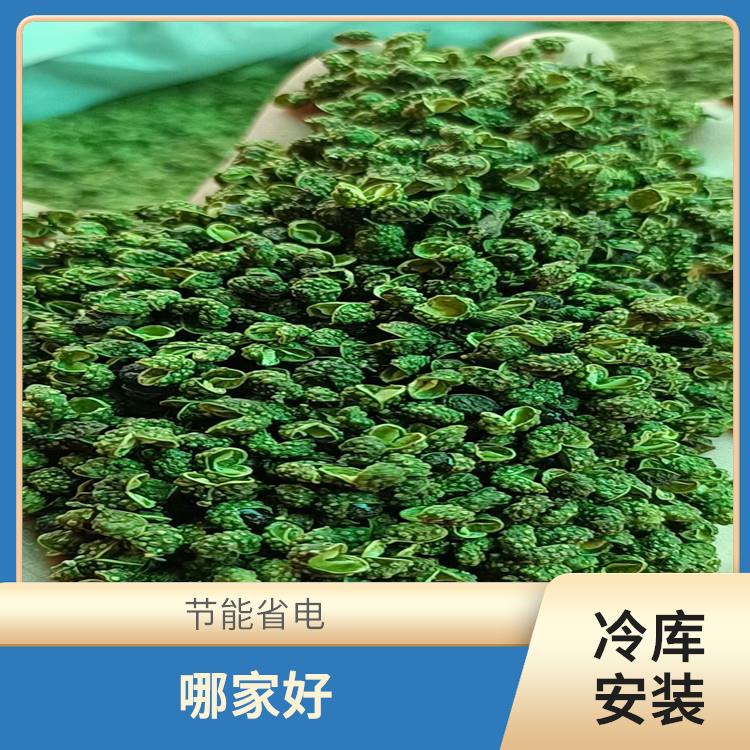 中江小型冷库 利州药品冷库设备 米粉厂