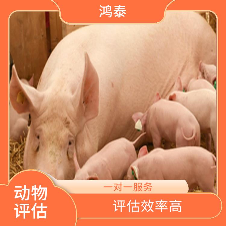 重庆市肉鸭评估 经验丰富 评估业务范围广