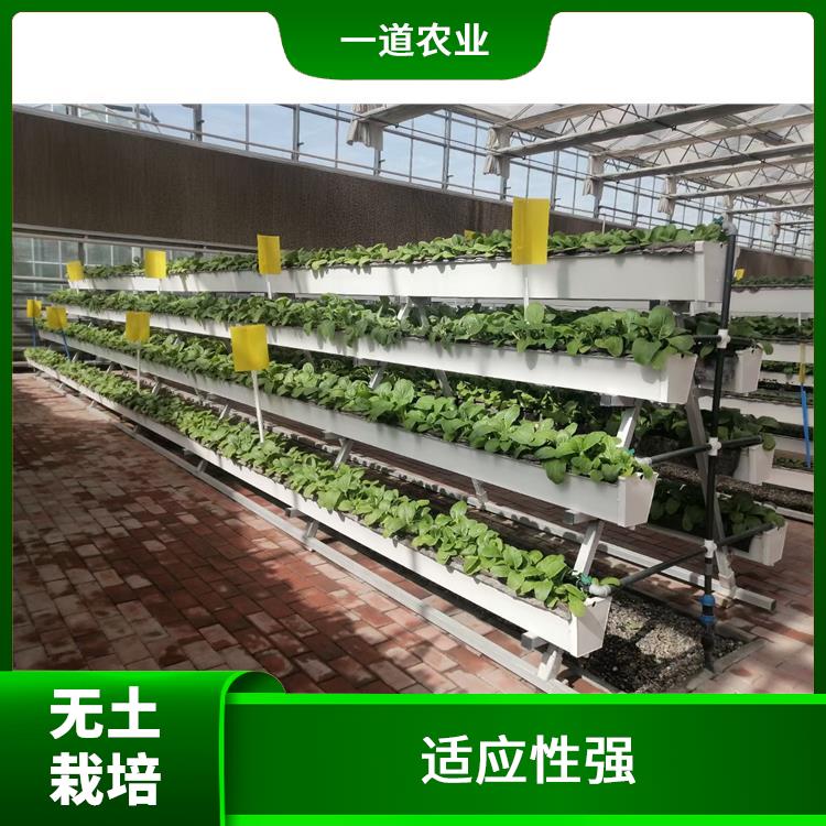 杭州无土栽培施工厂家 无土栽培施工 水分利用率高
